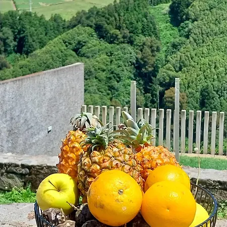 Alojamento de Acomodação e Pequeno-almoço Casa Da Boa Vista 4*