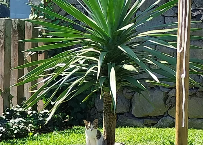 Casa Da Boa Vista Algarvia